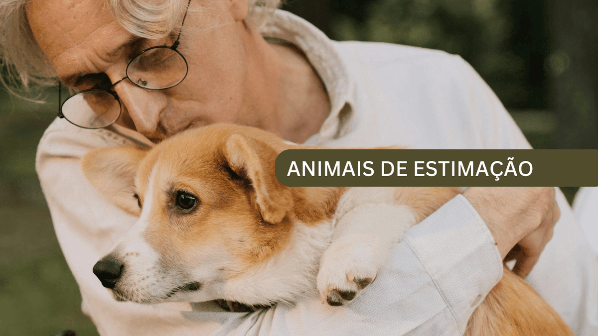 Animais de estimação