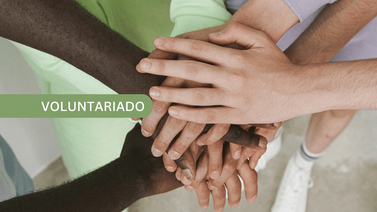 Voluntariado