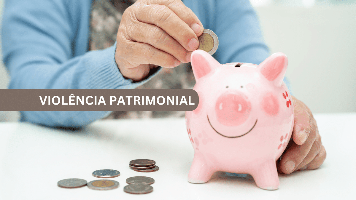 violência patrimonial