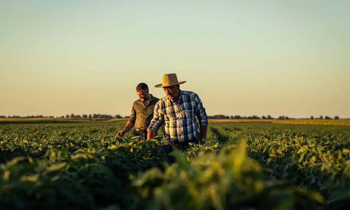 Confira tudo que você precisa saber sobre a aposentadoria rural do INSS