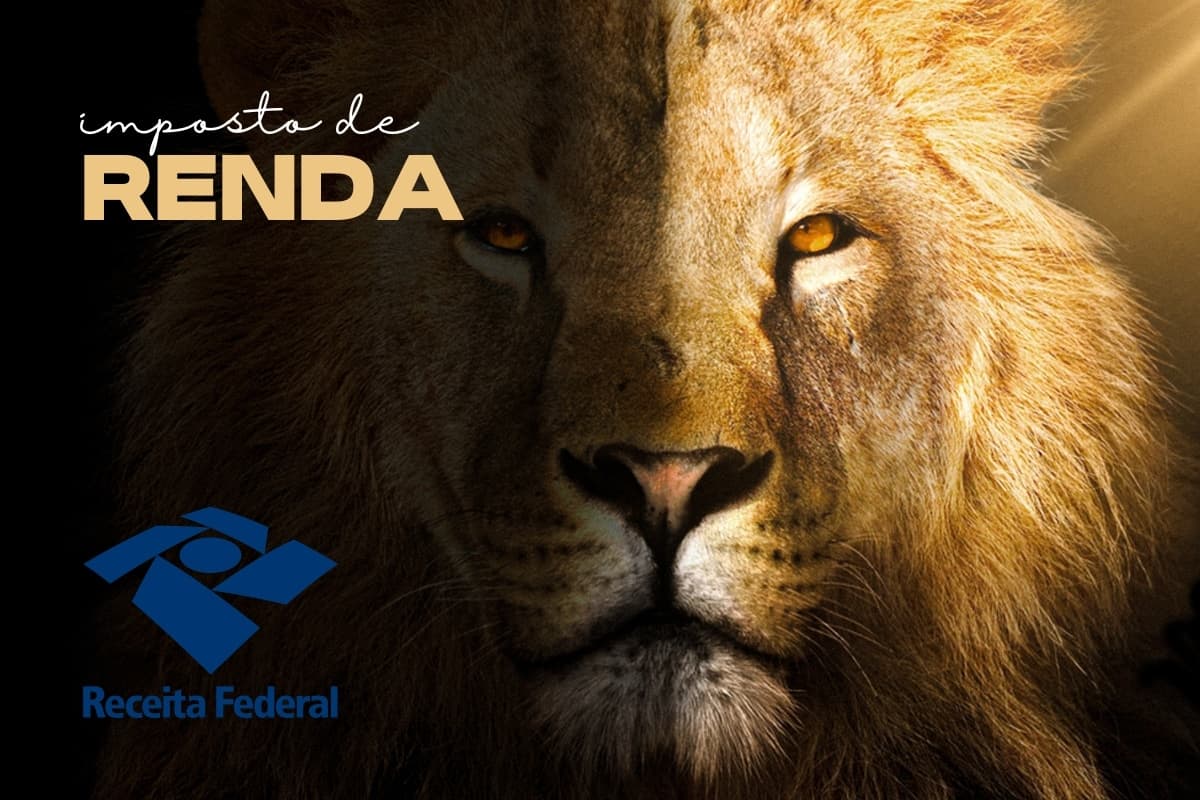 Imposto de Renda: Consulte tudo online e saiba se precisa retificar sua declaração