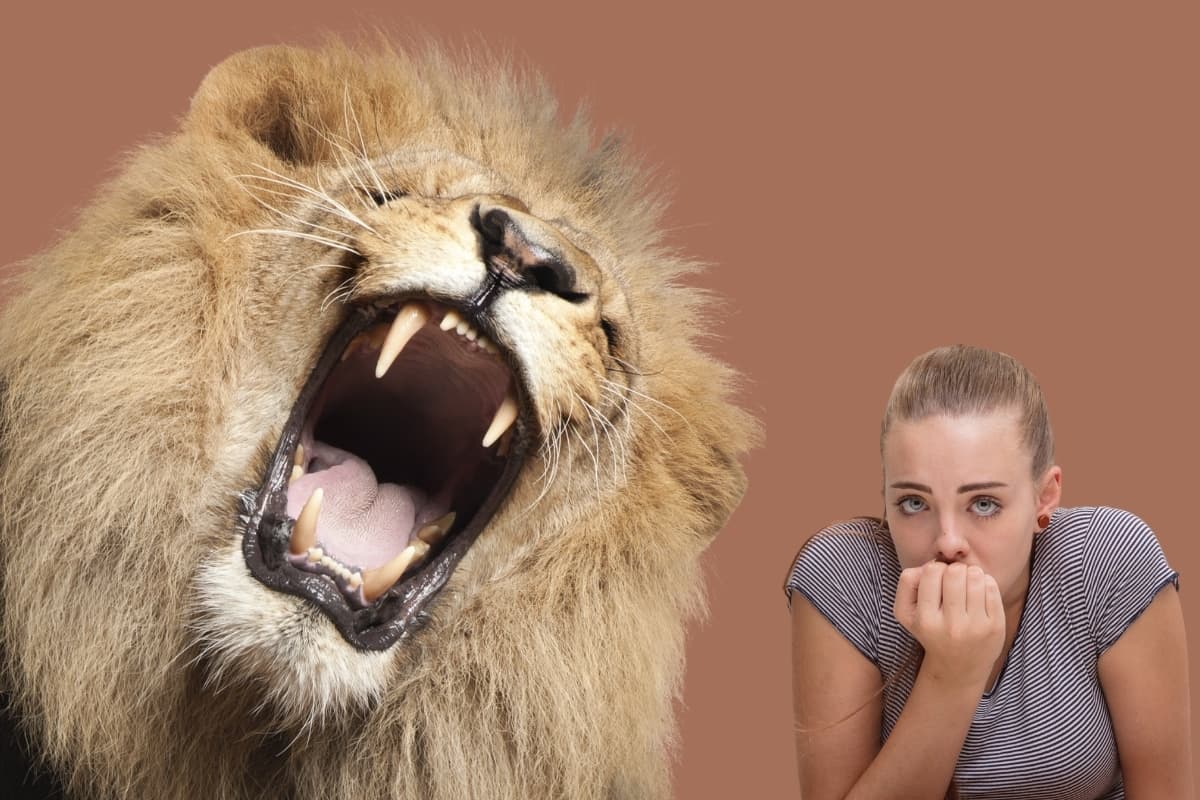 IRPF em março: mito ou verdade que aumenta o risco de malha fina?