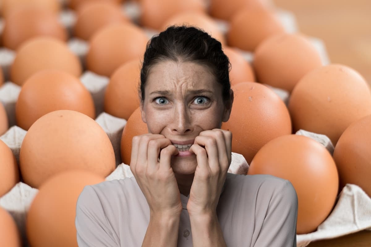 Preço do ovo dispara com calor e demanda na quaresma
