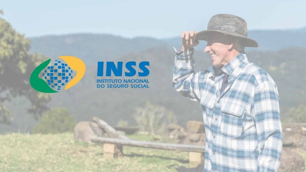 O código da lei: os direitos inegociáveis do contribuinte perante o INSS e como exercer sua defesa