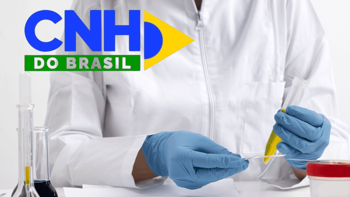 CNH e exame toxicológico: como funciona e quais drogas são detectadas