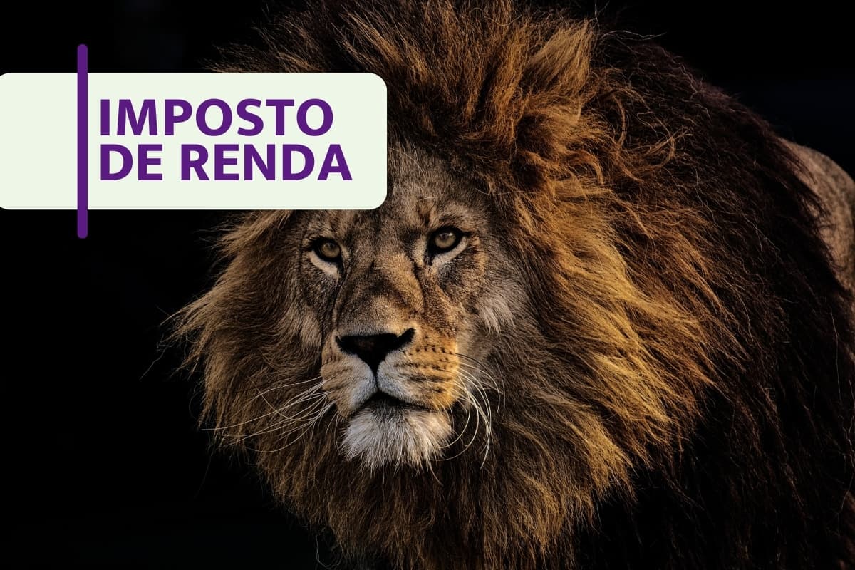 Imposto de Renda: O prazo está no fim e esses contribuintes correm risco de multa